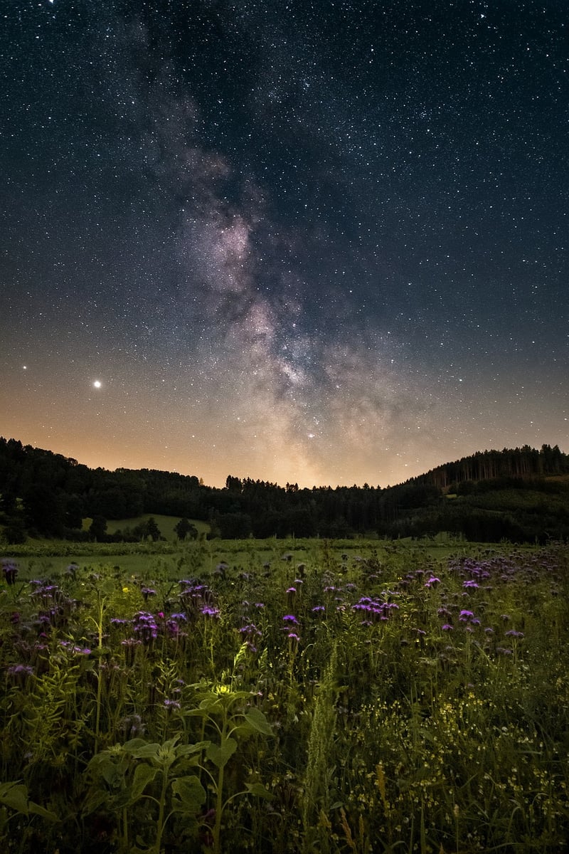Galactic Colonization